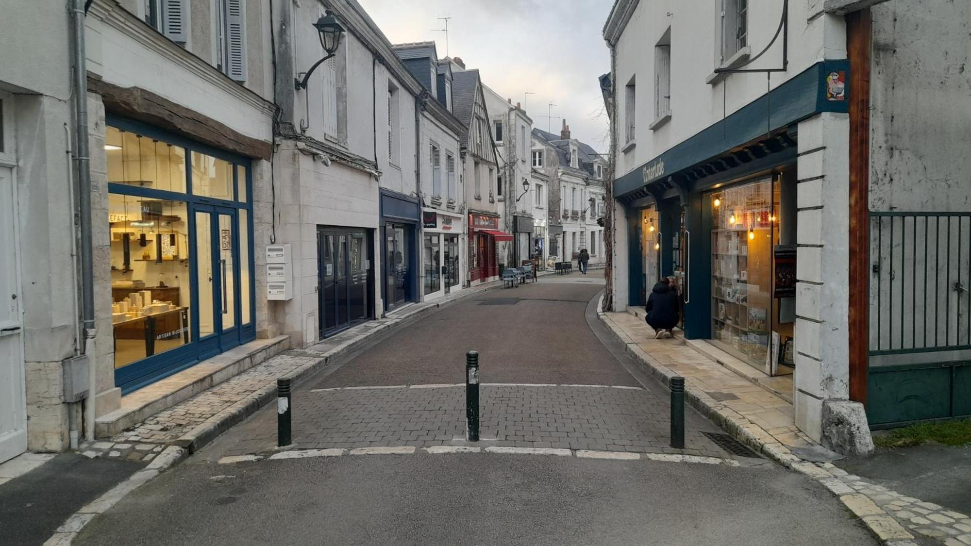 Escale Au Pied Du Chateau Amboise Dış mekan fotoğraf
