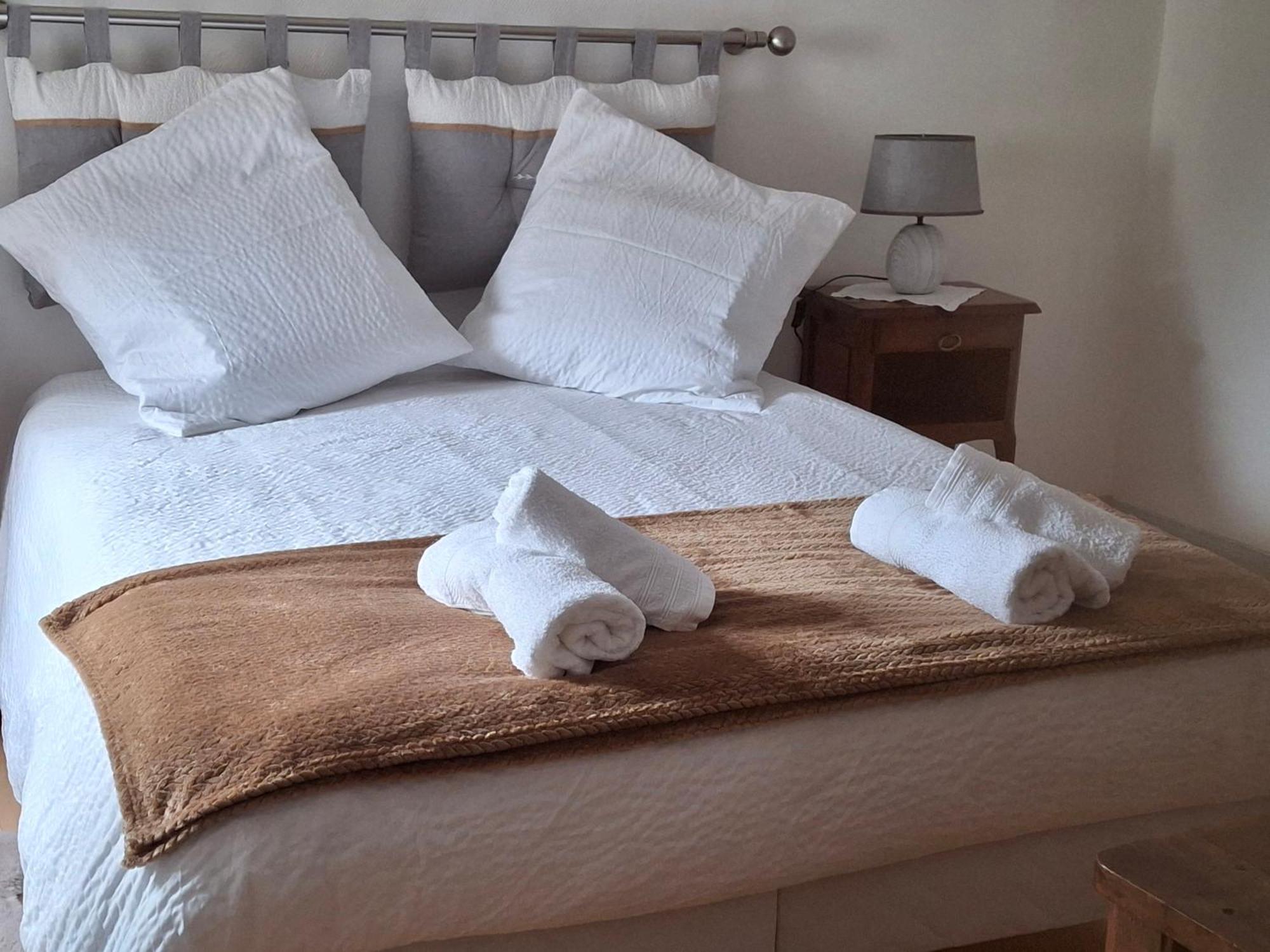 Escale Au Pied Du Chateau Amboise Dış mekan fotoğraf